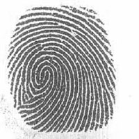 Fingerprint in black and white.