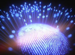 Fingerprint with binary numbers coming up from it. 
